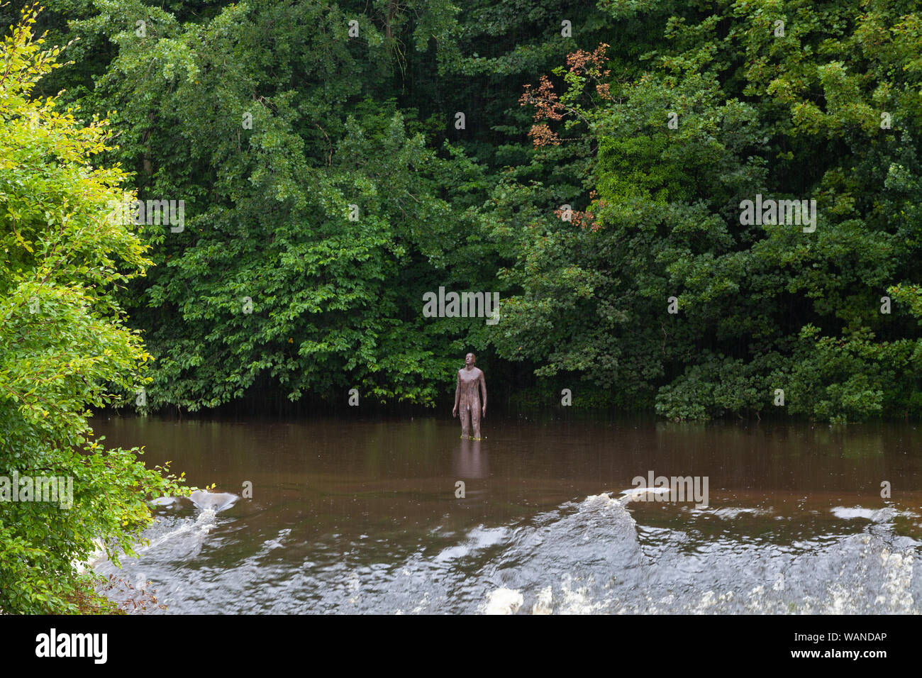 Antony Gormley statue in the Water of Leith part of the work 6 times, Edinburgh Scotland Stock Photo
