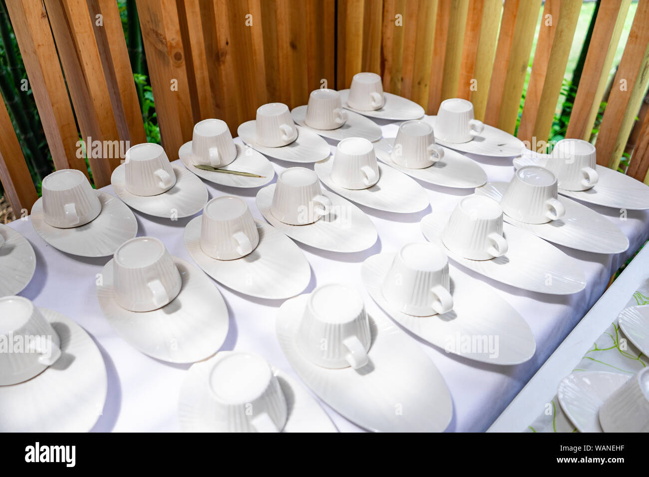 Emptry cup of tree arranged on table with wood barttens background ...