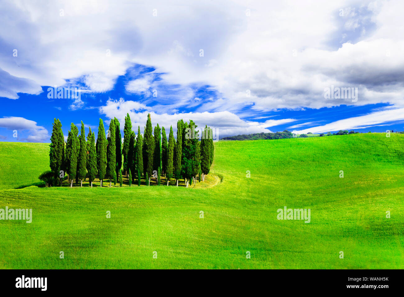 Impressive landscape of Tuscany,Val d’ Orcia,near Pienza,Italy. Stock Photo