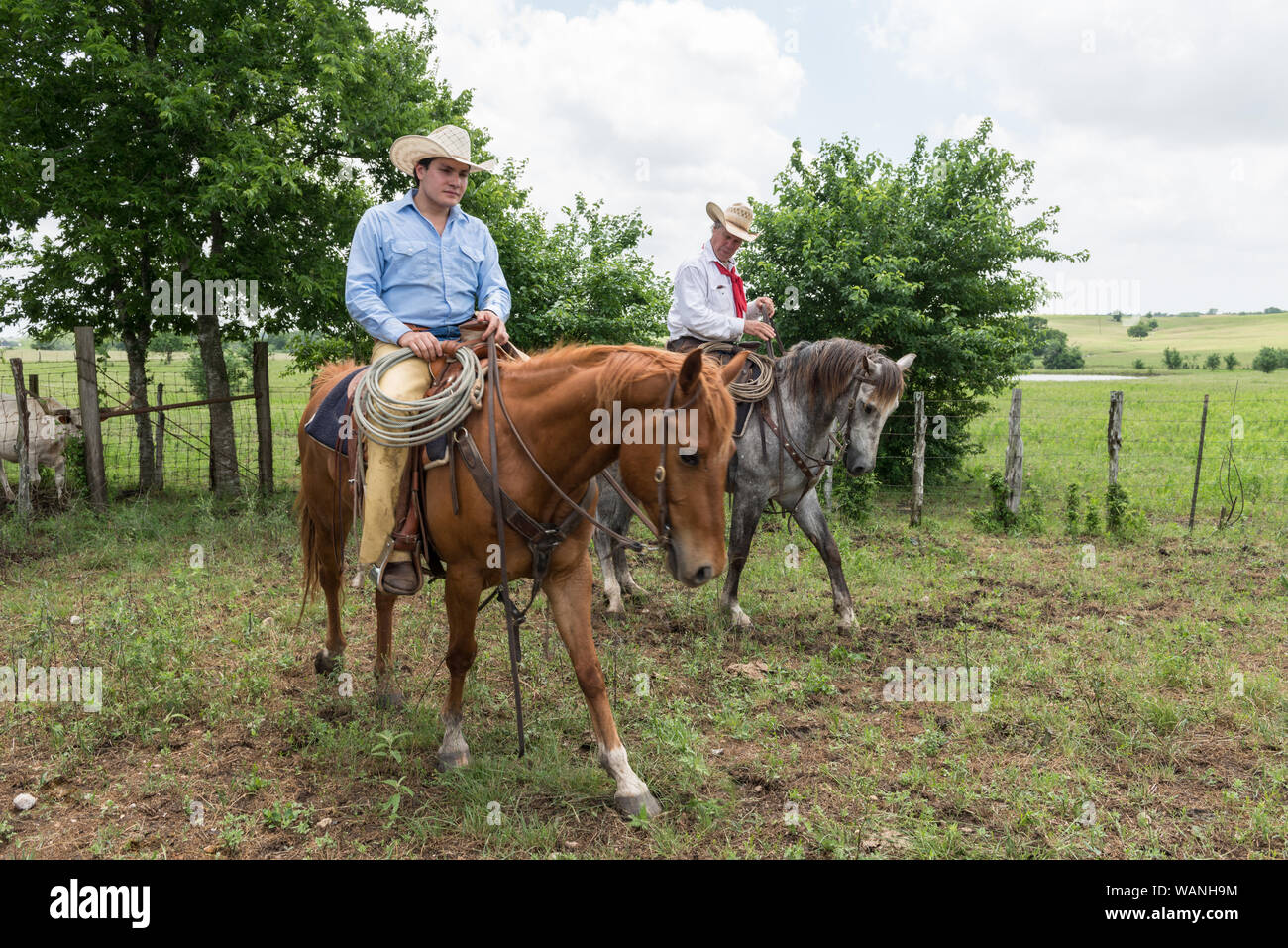 Cowhand Lars Hollis, left, and John Elick, owner of the 1,800-acre Lonesome Pine Ranch, a working cattle ranch that is part of the Texas Ranch Life ranch resort near Chappell Hill in Austin County, Texas. Hollis's horse is named Catote; Elick's is Rebelito Stock Photo