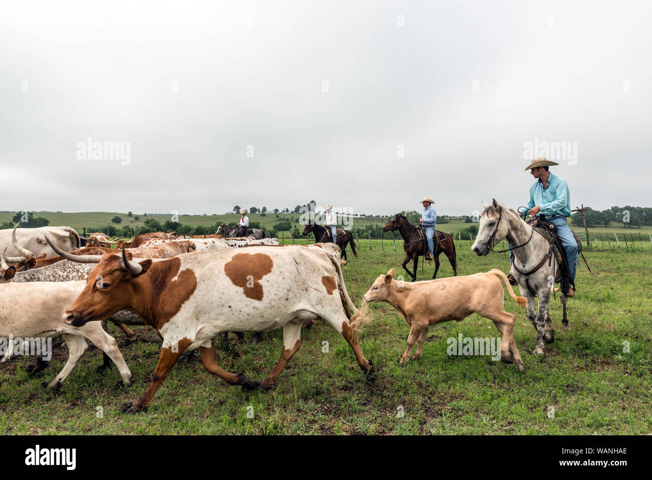 Cowhands Ranch 200 800 hi-res stock photography and images - Alamy