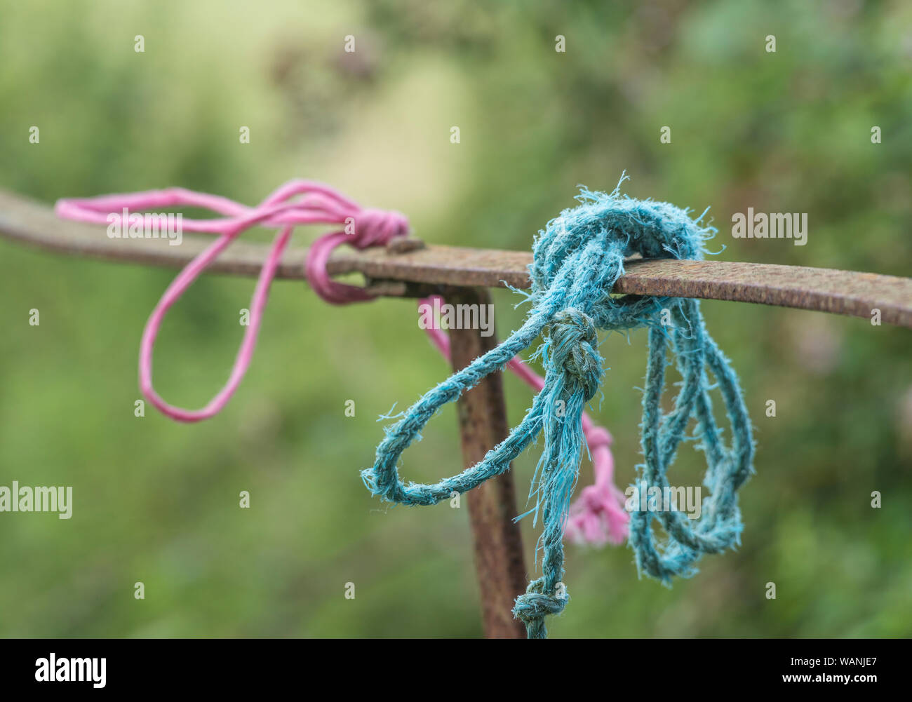 Thick industrial polymer rope tied round top of metal farm gate