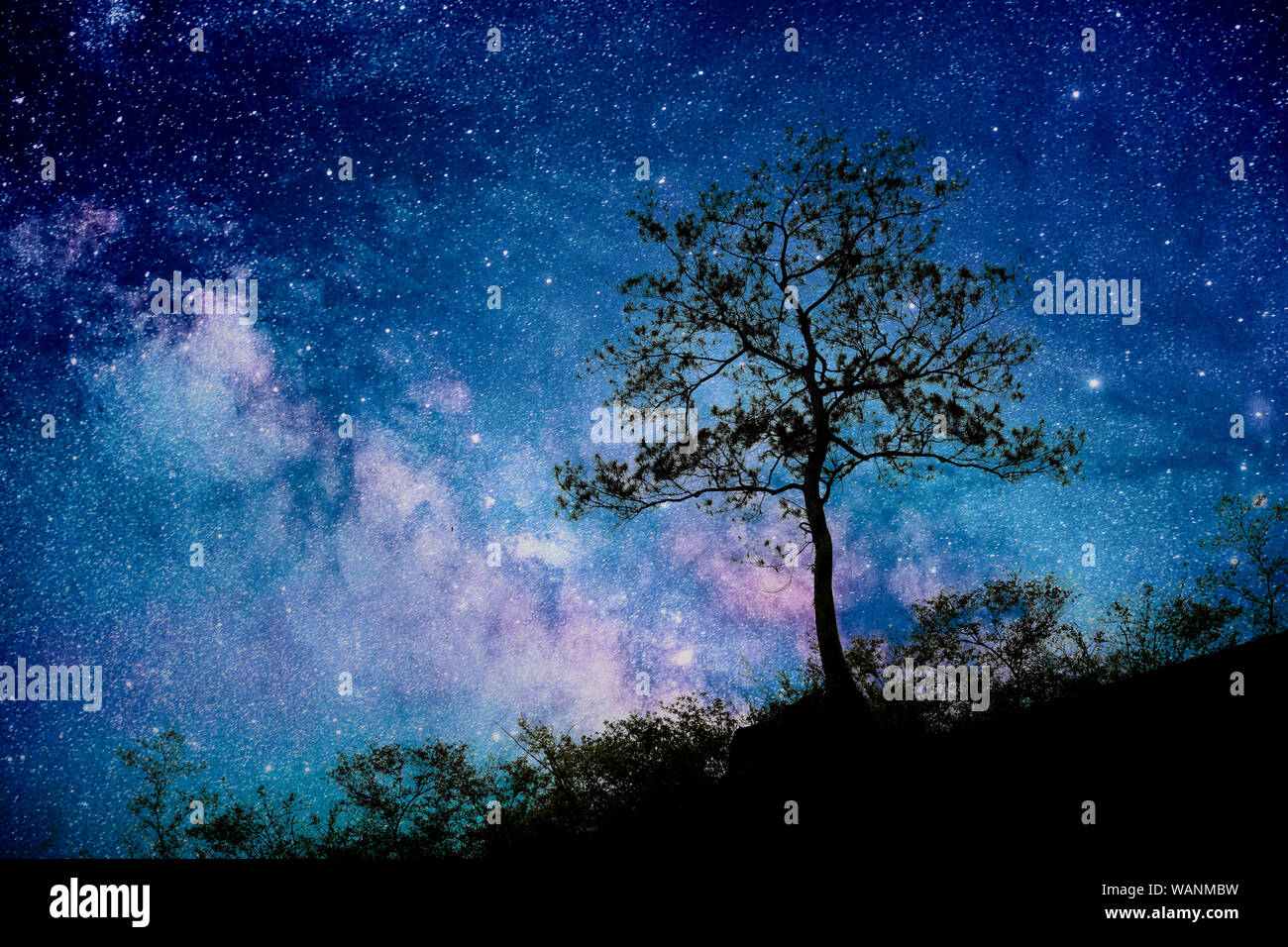 Tree standing silhouetted against the Milky Way Galaxy Stock Photo - Alamy