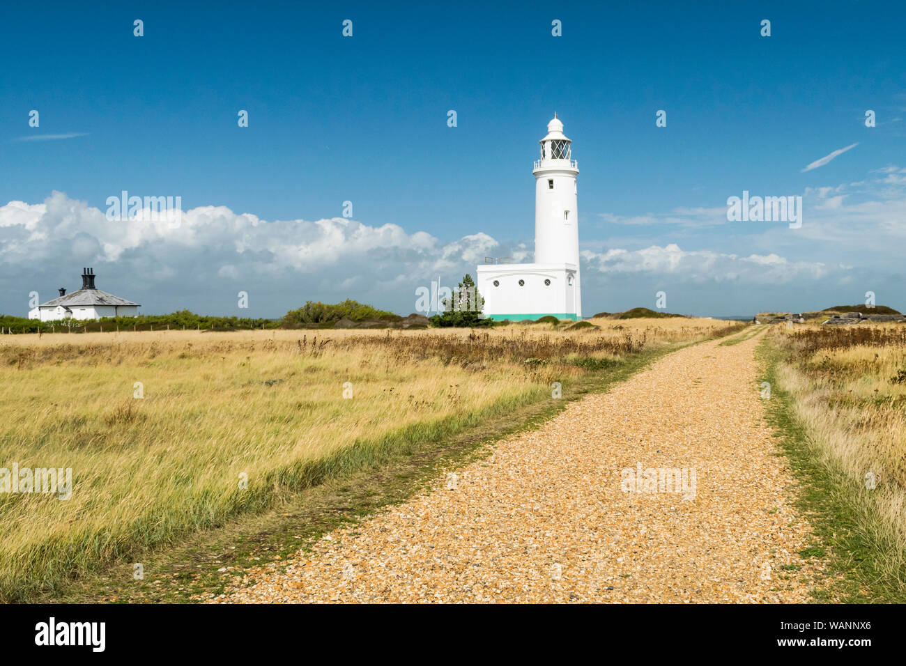 Footpath leading to Hurst Point Lighthouse on a summer's day,a short walk from Hurst Castle located at Milford on Sea, Lymington, Hampshire, England Stock Photo