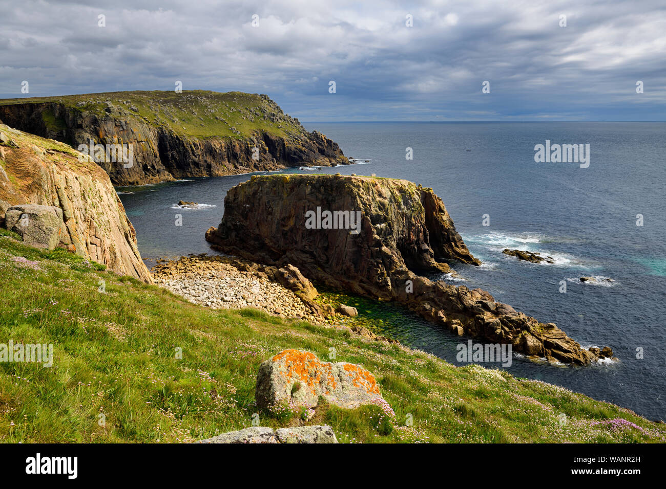 Sea Thrift on field sloping to the Atlantic Ocean with Enys Dodnan rock arch and Pordenack Point at Land's End Cornwall England Stock Photo