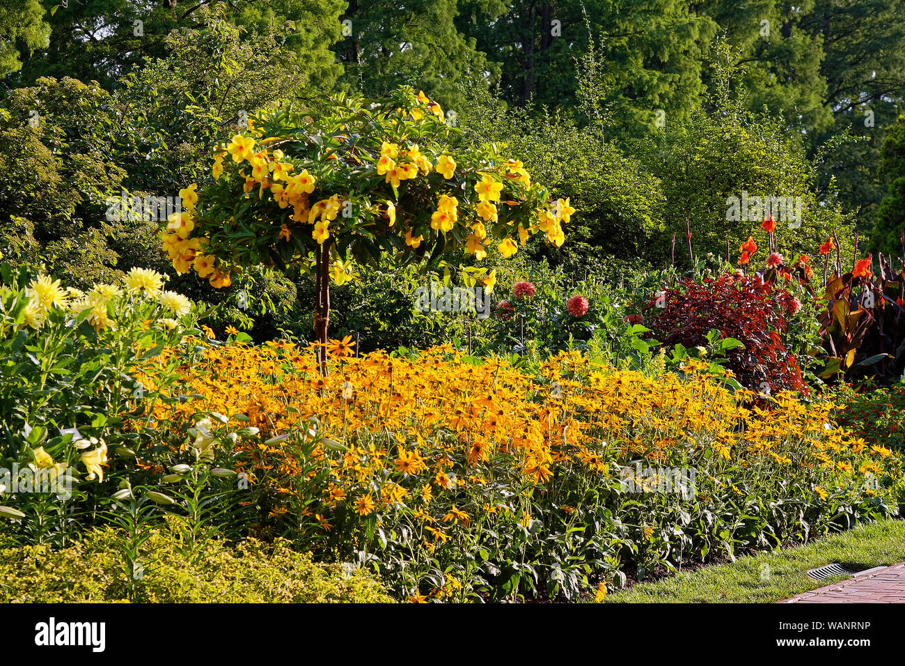 garden scene, flower-filled, warm colors, varied heights, green shrubs, trees, lush; PA; Pennsylvania; summer; horizontal Stock Photo