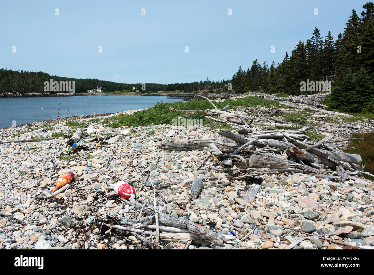 Lobster buoys washed up on Harvey's Beach, Eastern Point, Isle au Haut
