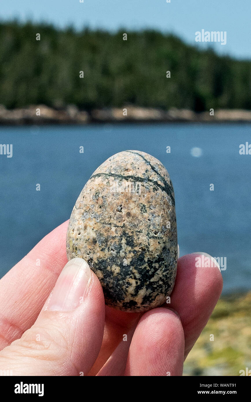 Woman's hand holding granite beach stone, locally known as 'cobbles