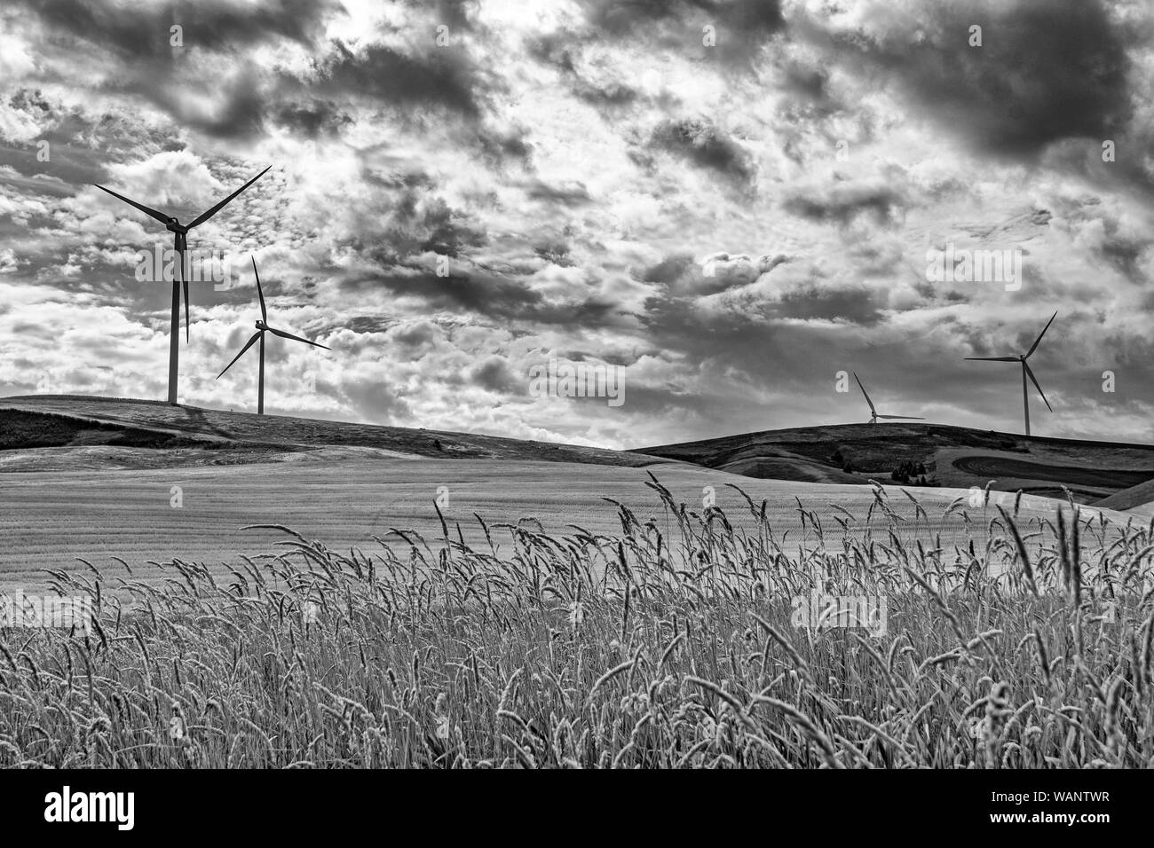 Wind turbine Black and White Stock Photos & Images - Alamy