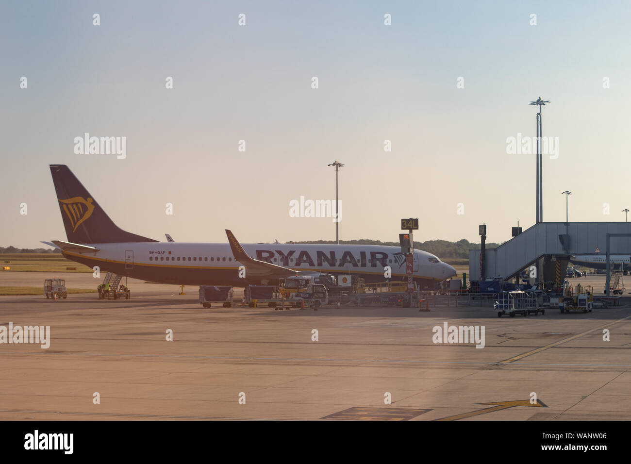 ryanair plane standing at gate at stansted airport Stock Photo Alamy
