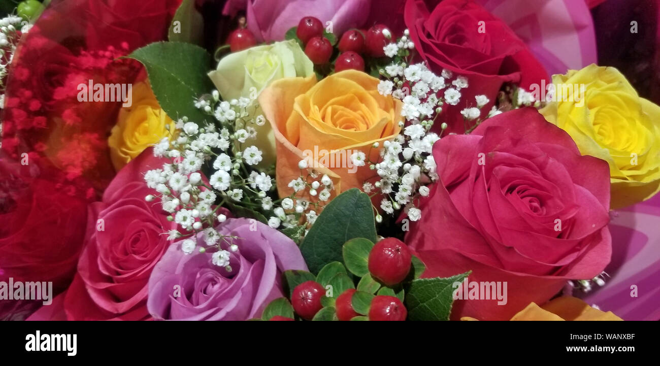 Perfect wedding spot hi-res stock photography and images - Alamy