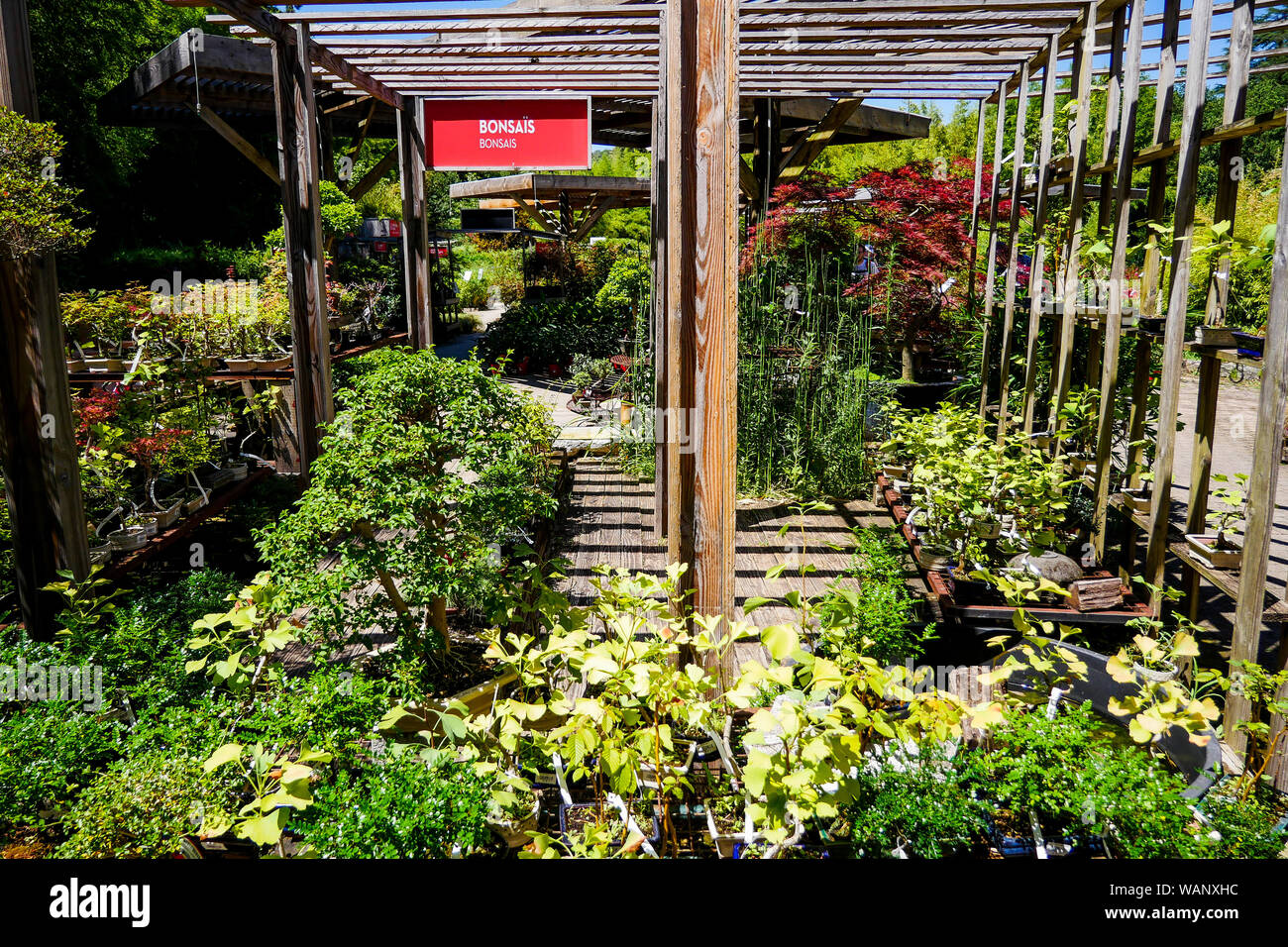 Bonsais garden centre, La Bambouseraie Bamboo park, Anduze, Gard