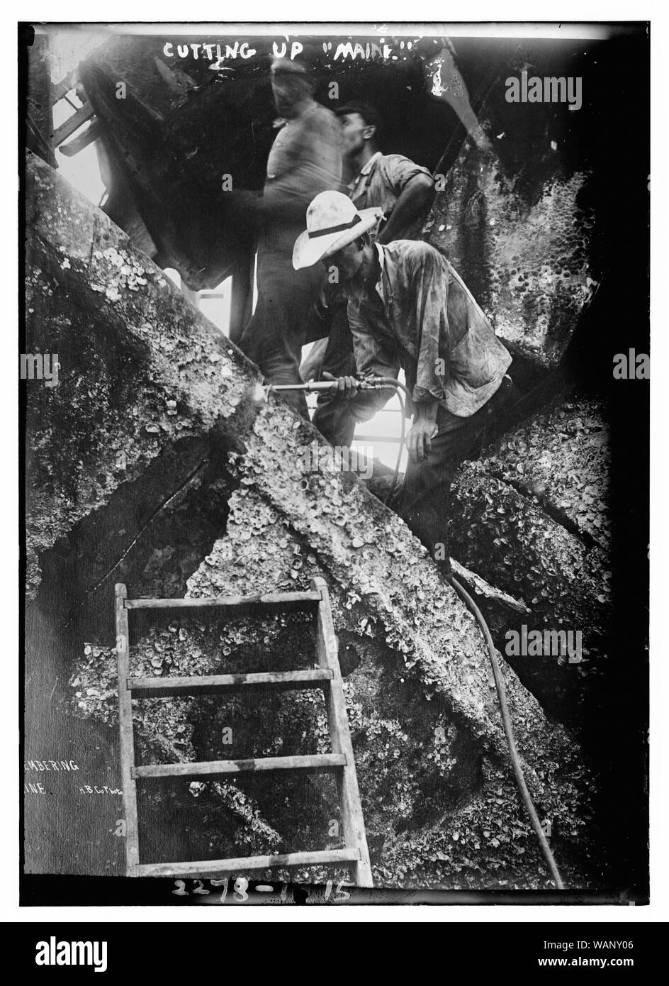 Cutting up MAINE Stock Photo Alamy