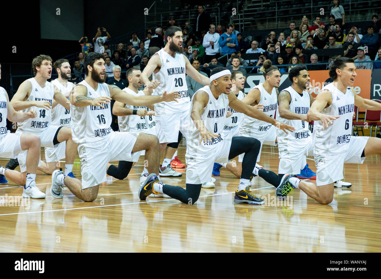 jordan new zealand basketball