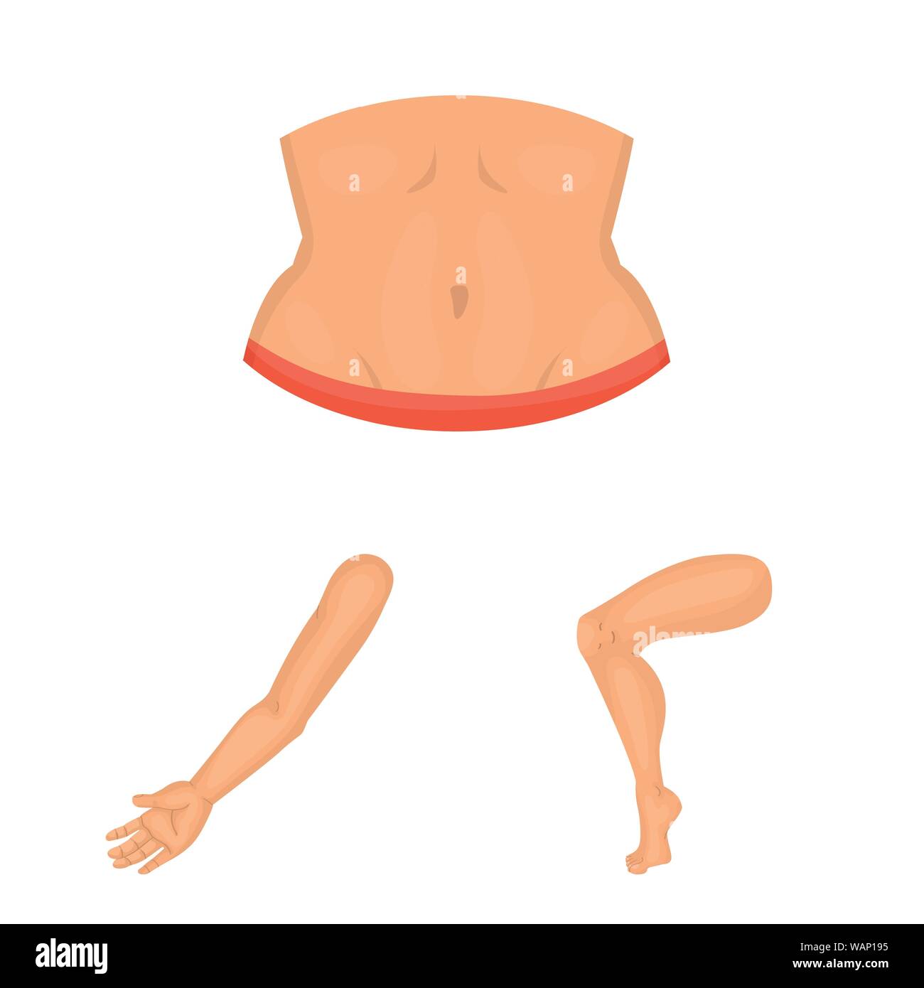 Isolated object of body and part icon. Collection of body and anatomy ...