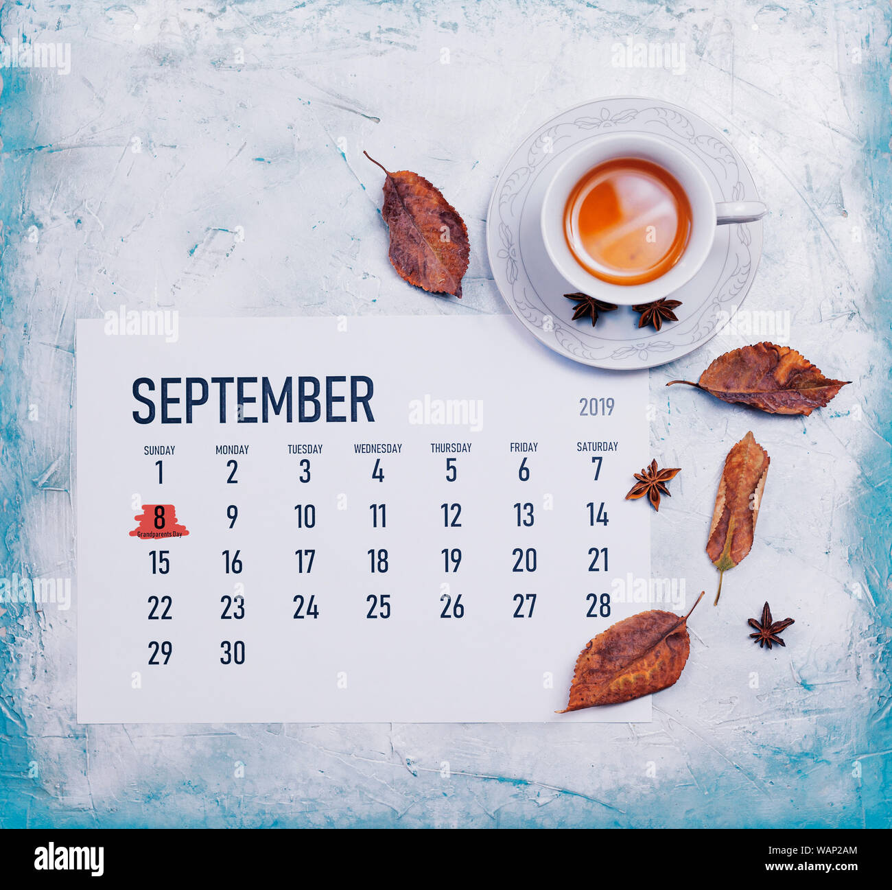 Grandparents day 2019 US. 8th September 2019 highlighted on the — free download