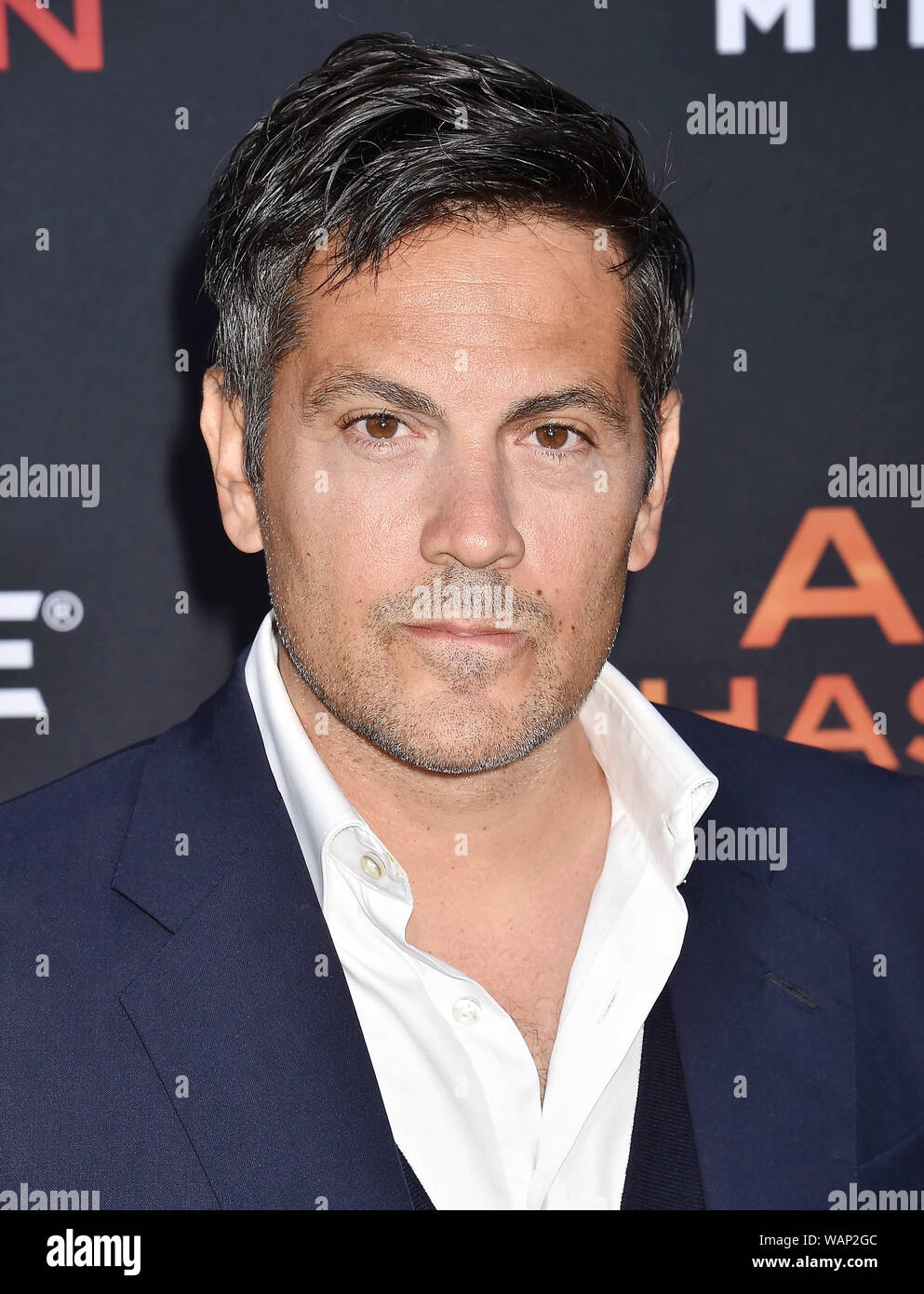 WESTWOOD, CA - AUGUST 20: Michael Landes attends the LA Premiere of