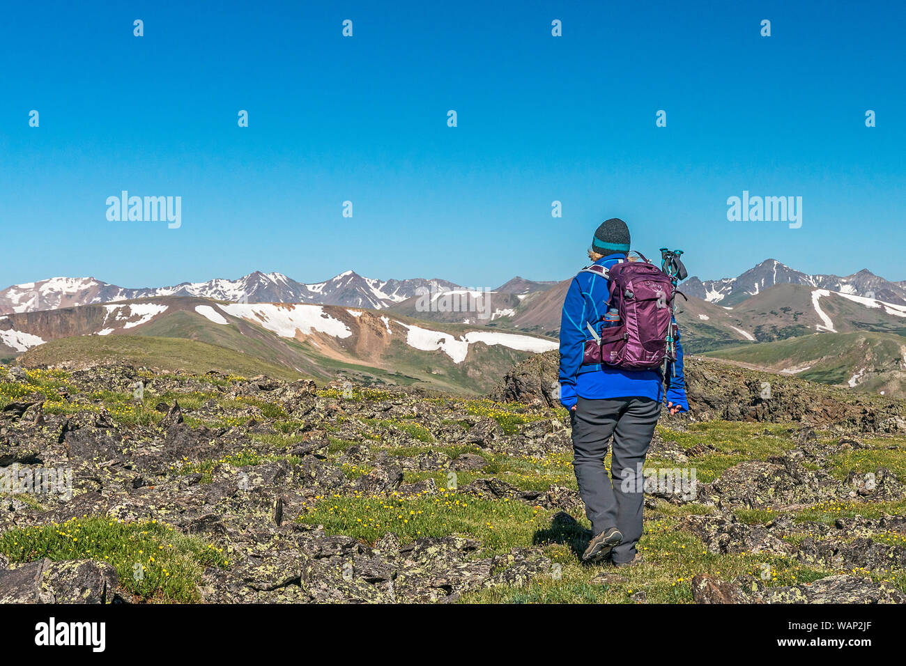 Female hiker blue mountains hi-res stock photography and images - Alamy