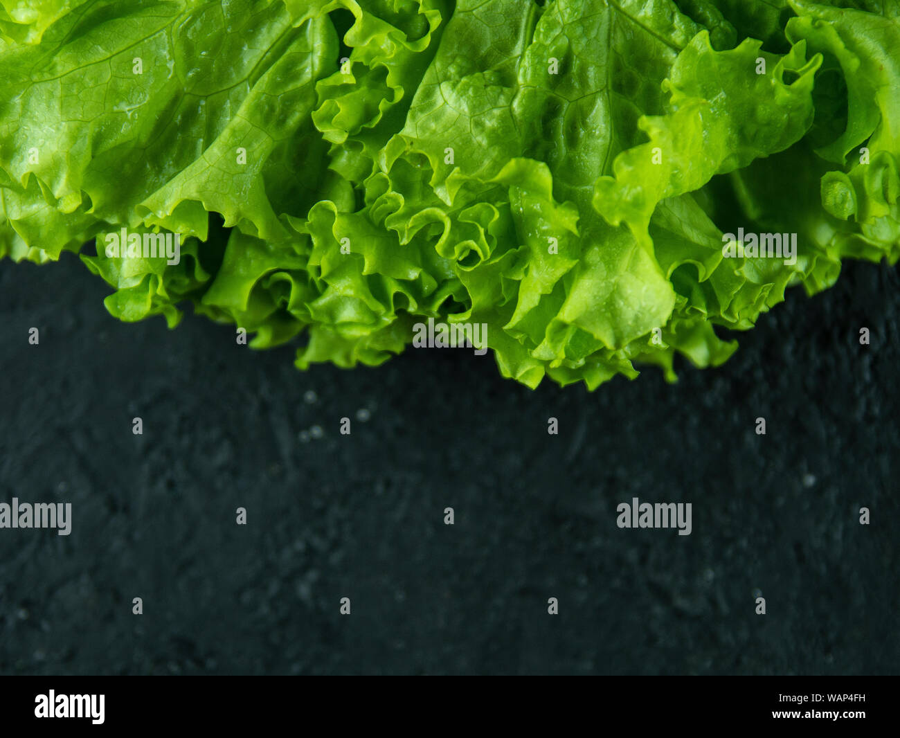 Leaves of fresh lettuce on a stone background. Top view Stock Photo