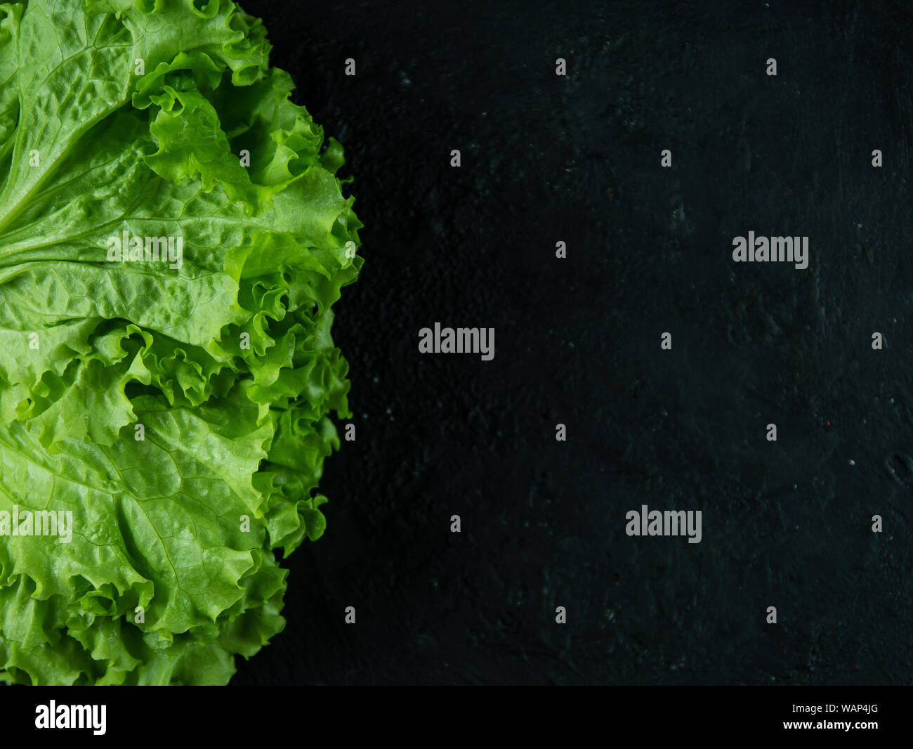 Leaves of fresh lettuce on a stone background. Top view Stock Photo