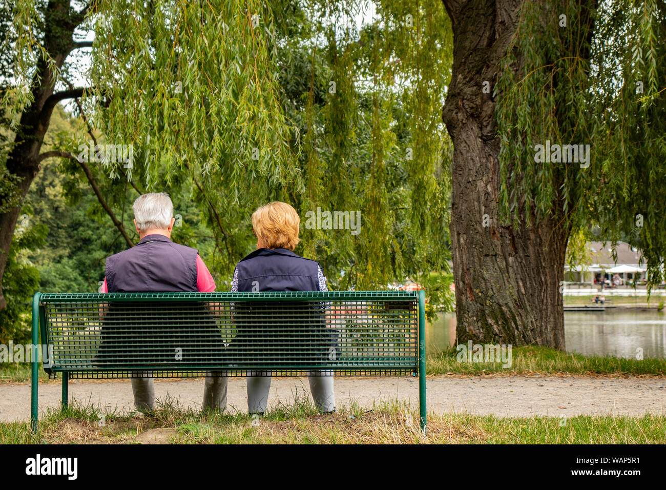 Senior couple on a bench in the park at a lake, shot from behind Stock ...