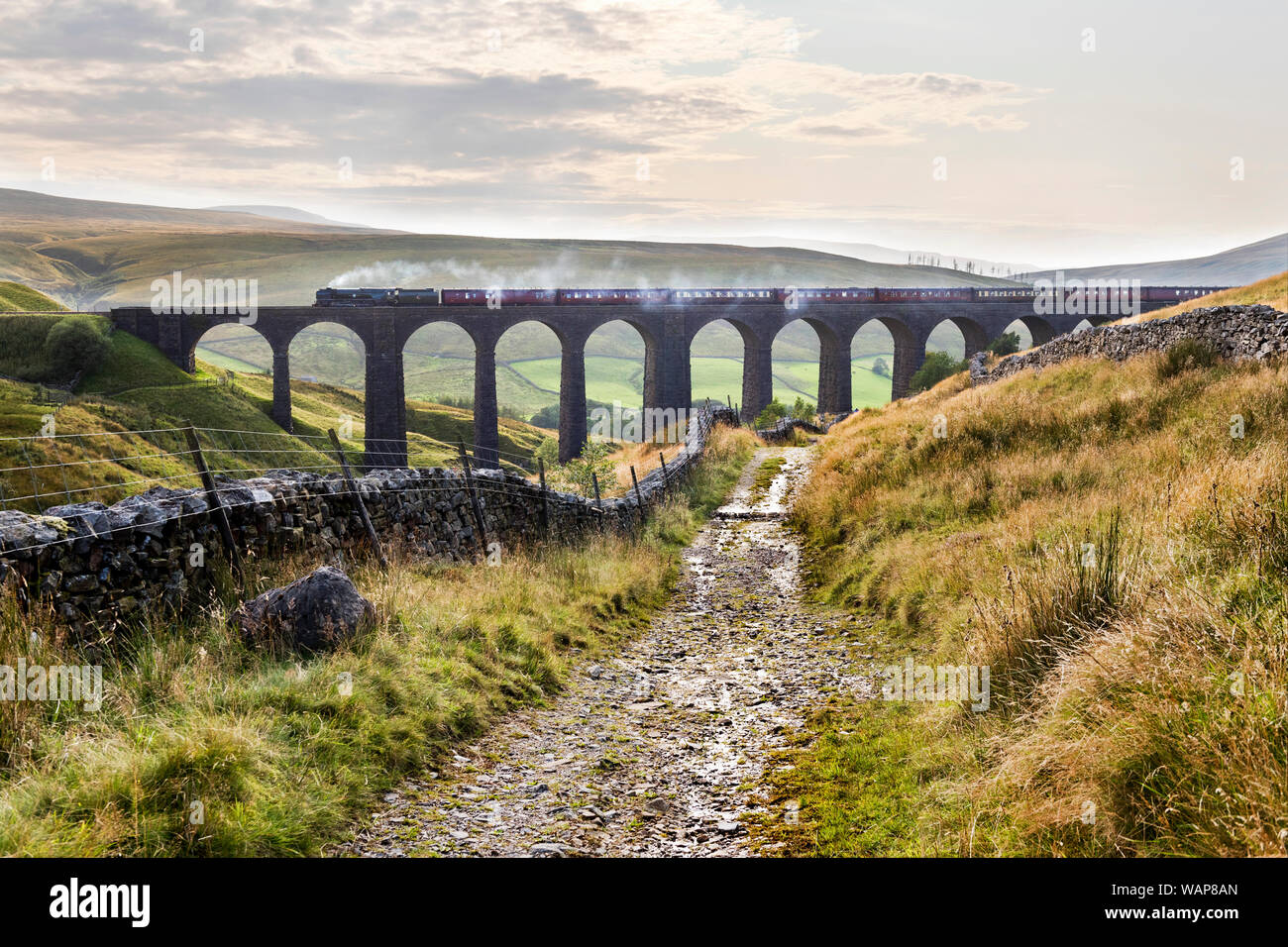 Steam locomotive 'British India Line' takes 'The Dalesman' train across southbound over Arten Gill Viaduct, Dentdale, Cumbria. Stock Photo