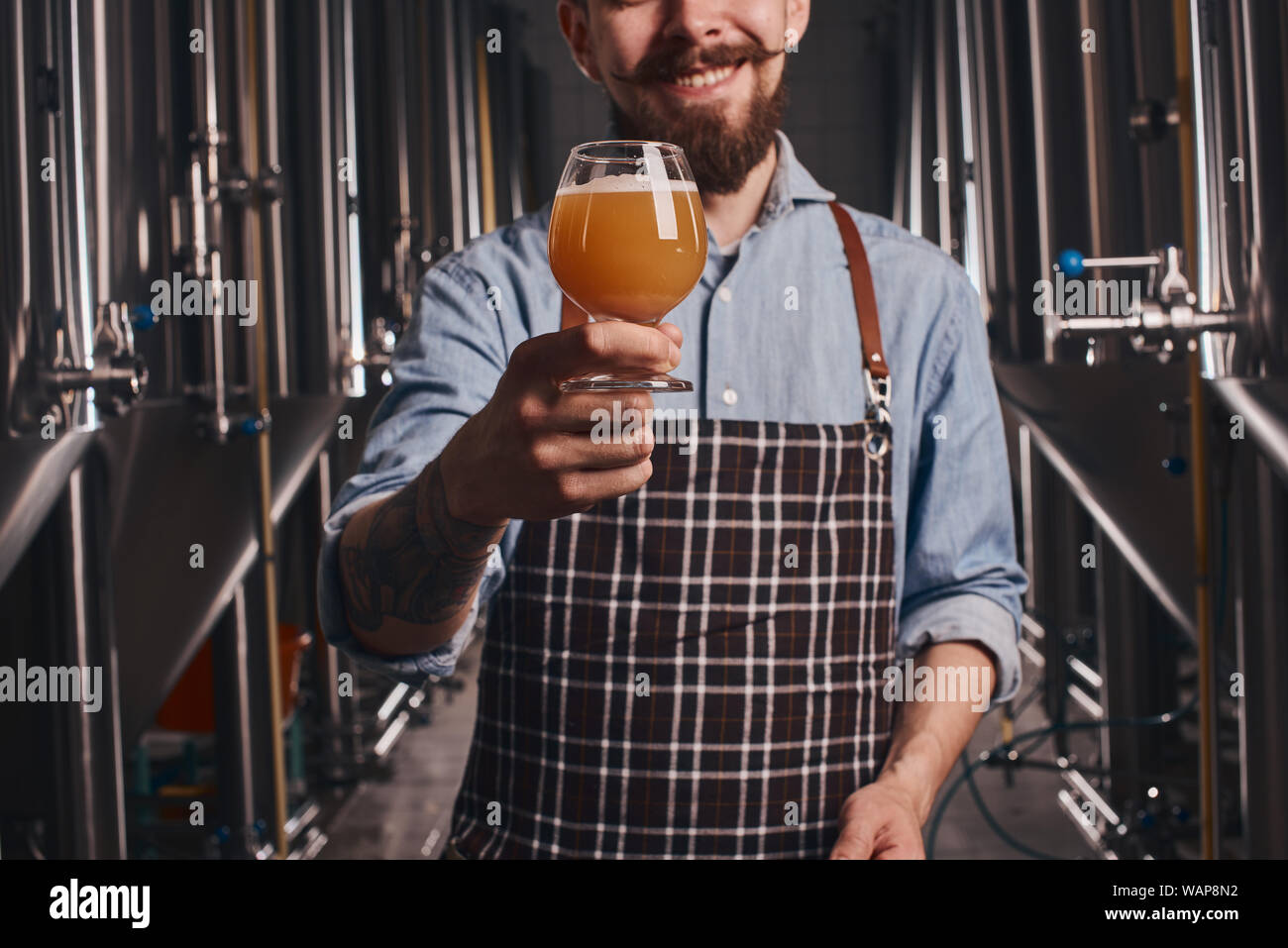 Bartender in the apron checks beer quality holding it in front of himself and looking at the color. Stock Photo