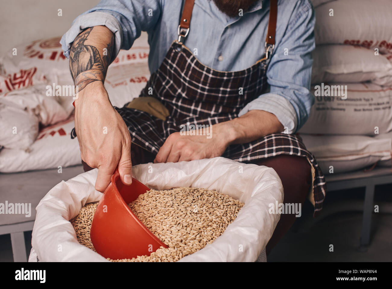 Close up of a brewery worker sitting on the chair and taking hop seeds from the full bag of it. Stock Photo