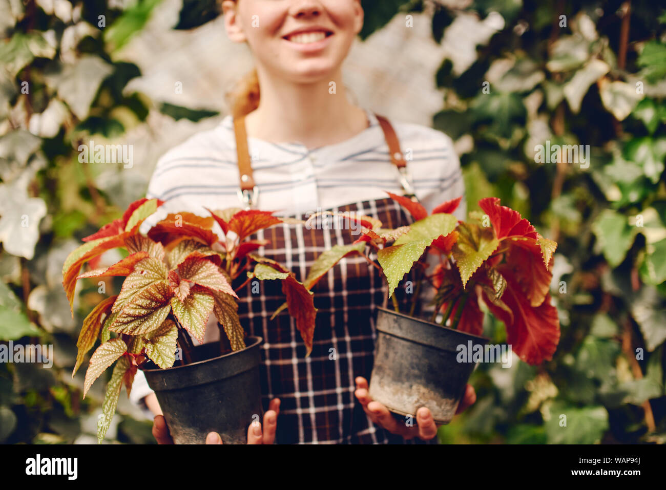 Close up of a farmer holding flowers with red leaves. Stock Photo