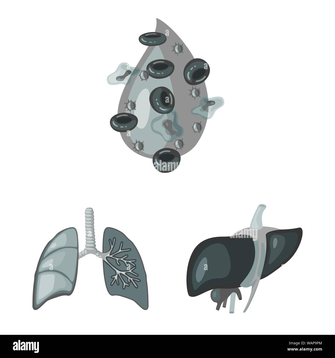 Isolated object of internal and medical icon. Collection of internal ...