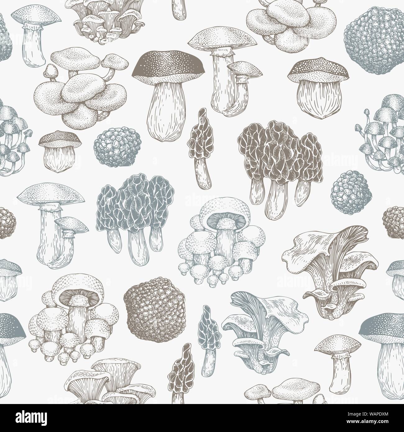 Mushrooms Seamless Pattern Vector Hand Drawn Illustrations Mushroom In Vintage Style Autumn Food Background Stock Vector Image Art Alamy