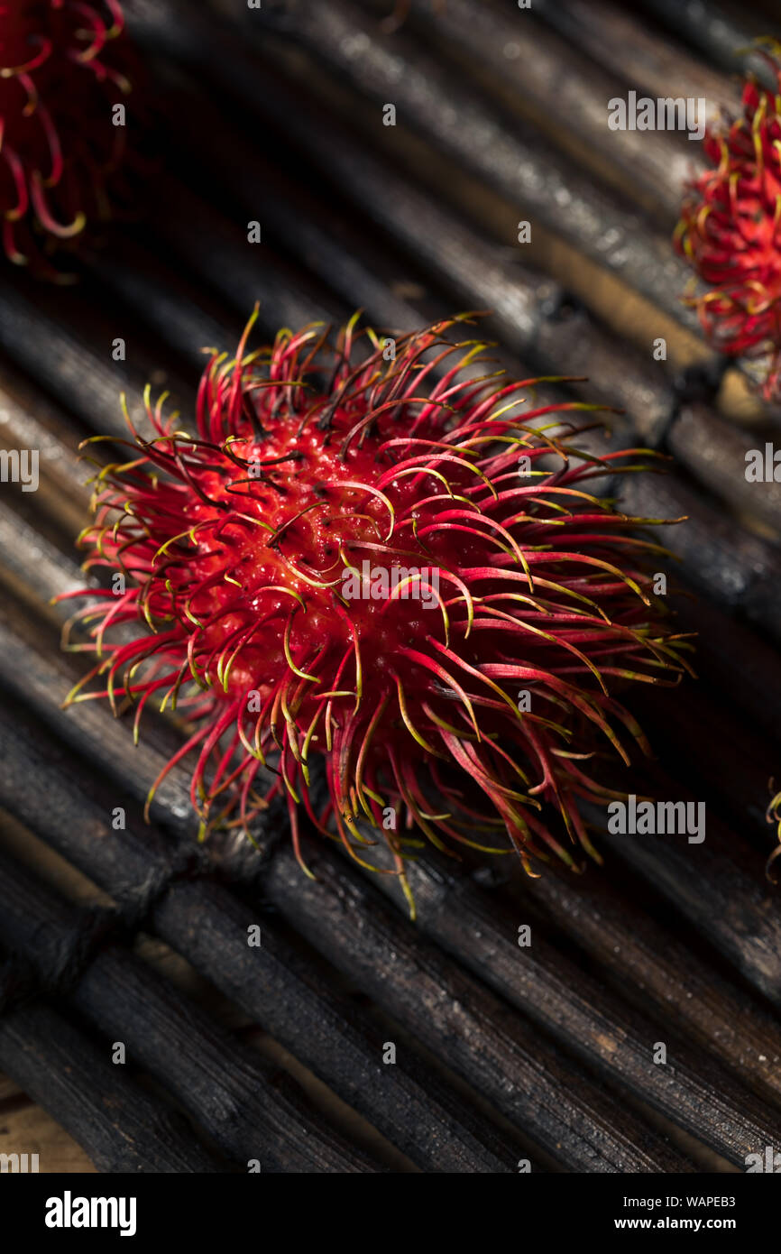 Raw Red Organic Rambutan Fruit Ready to Eat Stock Photo - Alamy