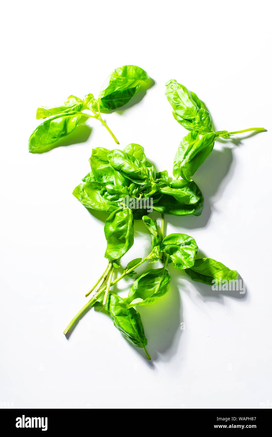 Fresh basil leaves Stock Photo Alamy