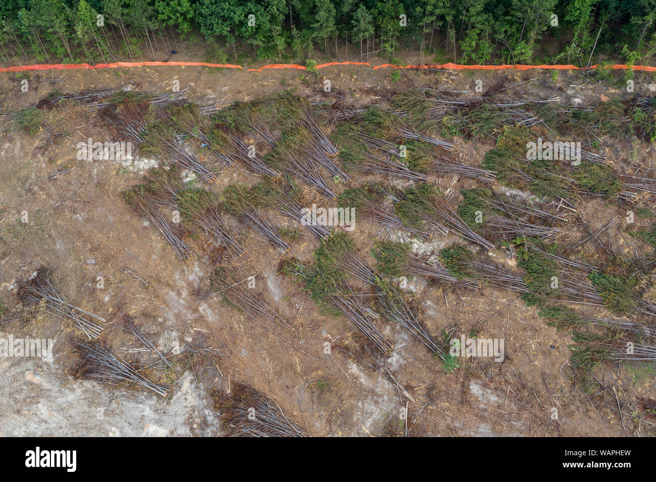 Land clearing hires stock photography and images Alamy