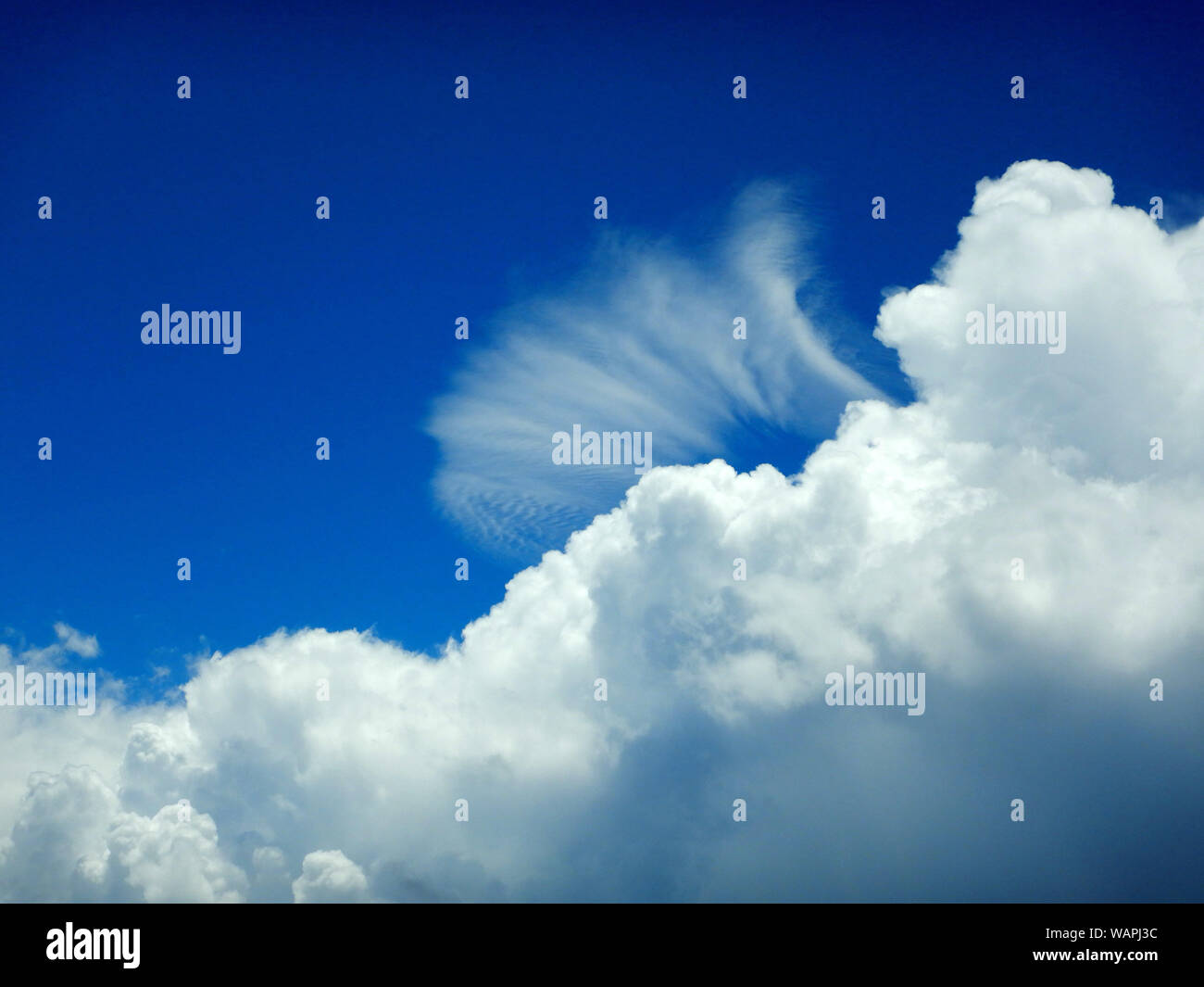Beautiful blue sky with big white cloud Stock Photo - Alamy