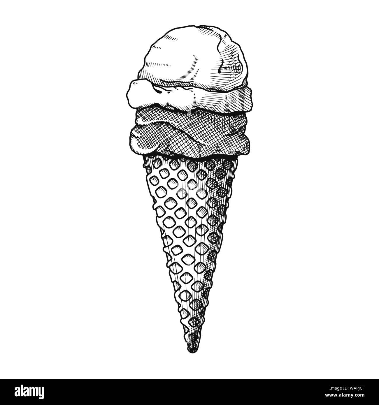 Realistic sketch in a waffle cone. Vector illustration in sketch style