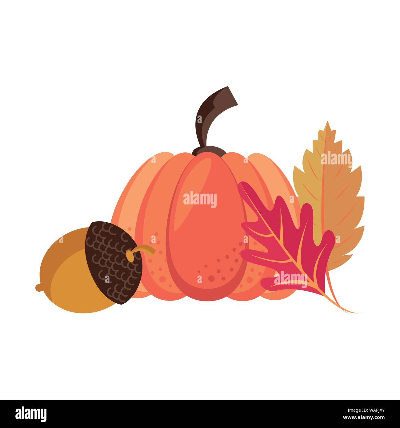 Autumn season cute elements cartoons Stock Vector Image & Art - Alamy