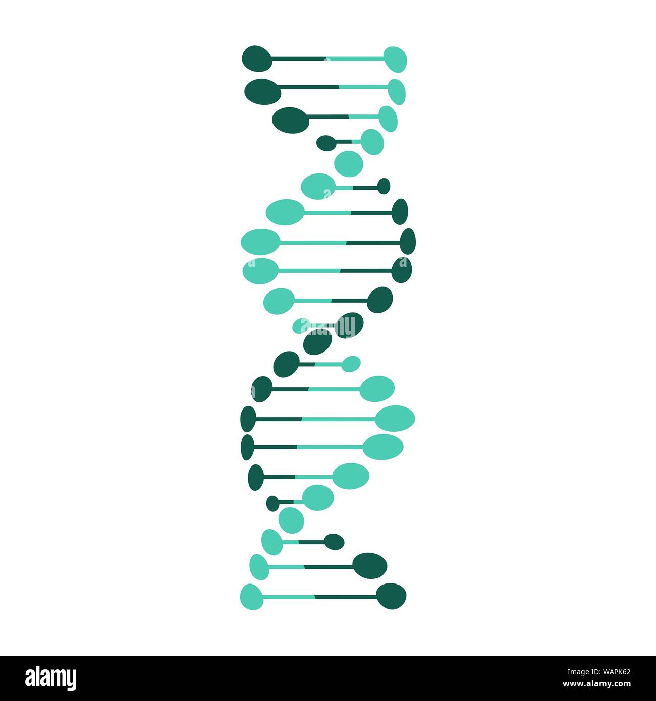 DNA symbol strand Isolated on white background Stock Vector