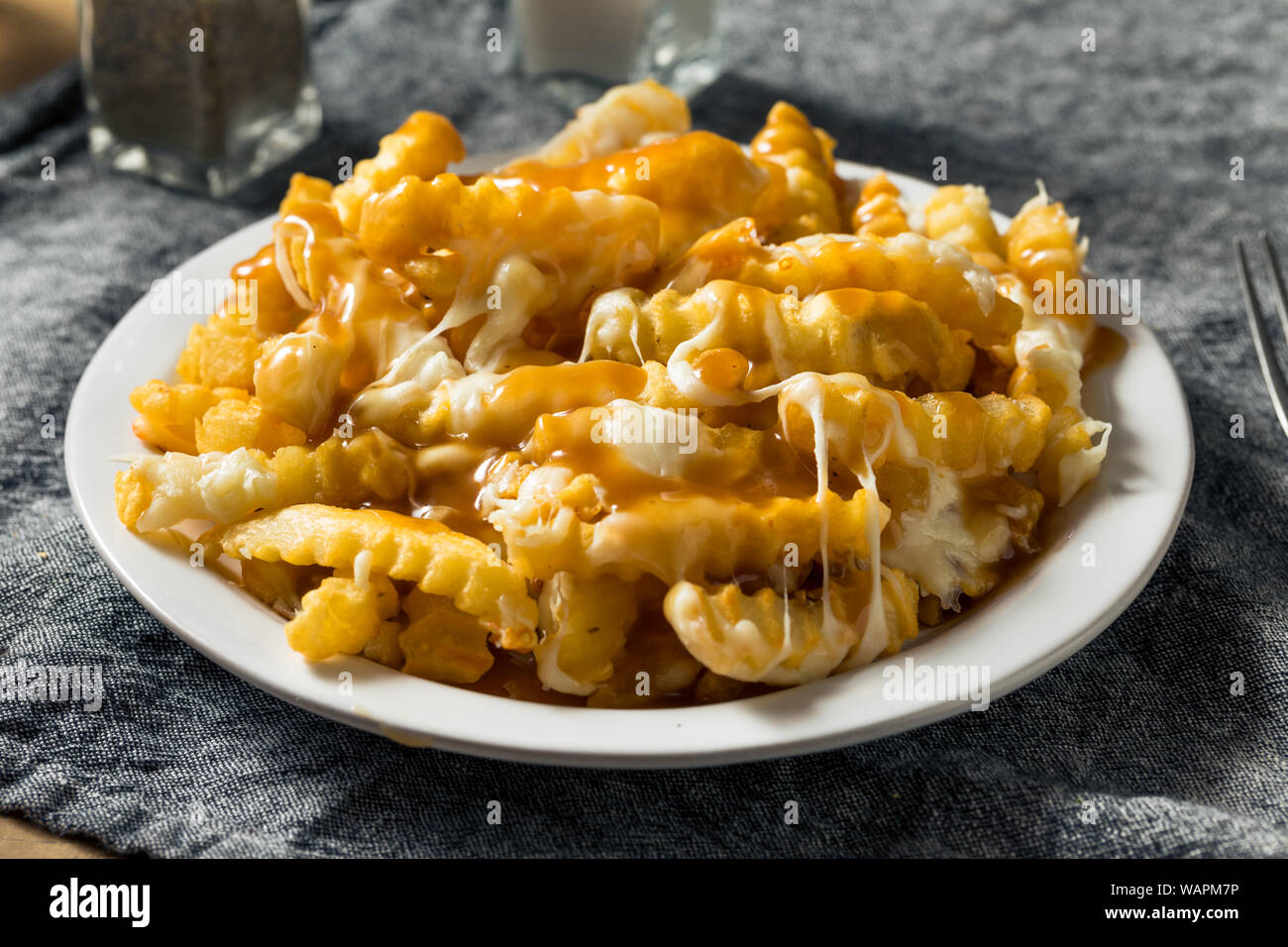 Homemade Jersey Disco French Fries with Gravy and Mozzarella Stock