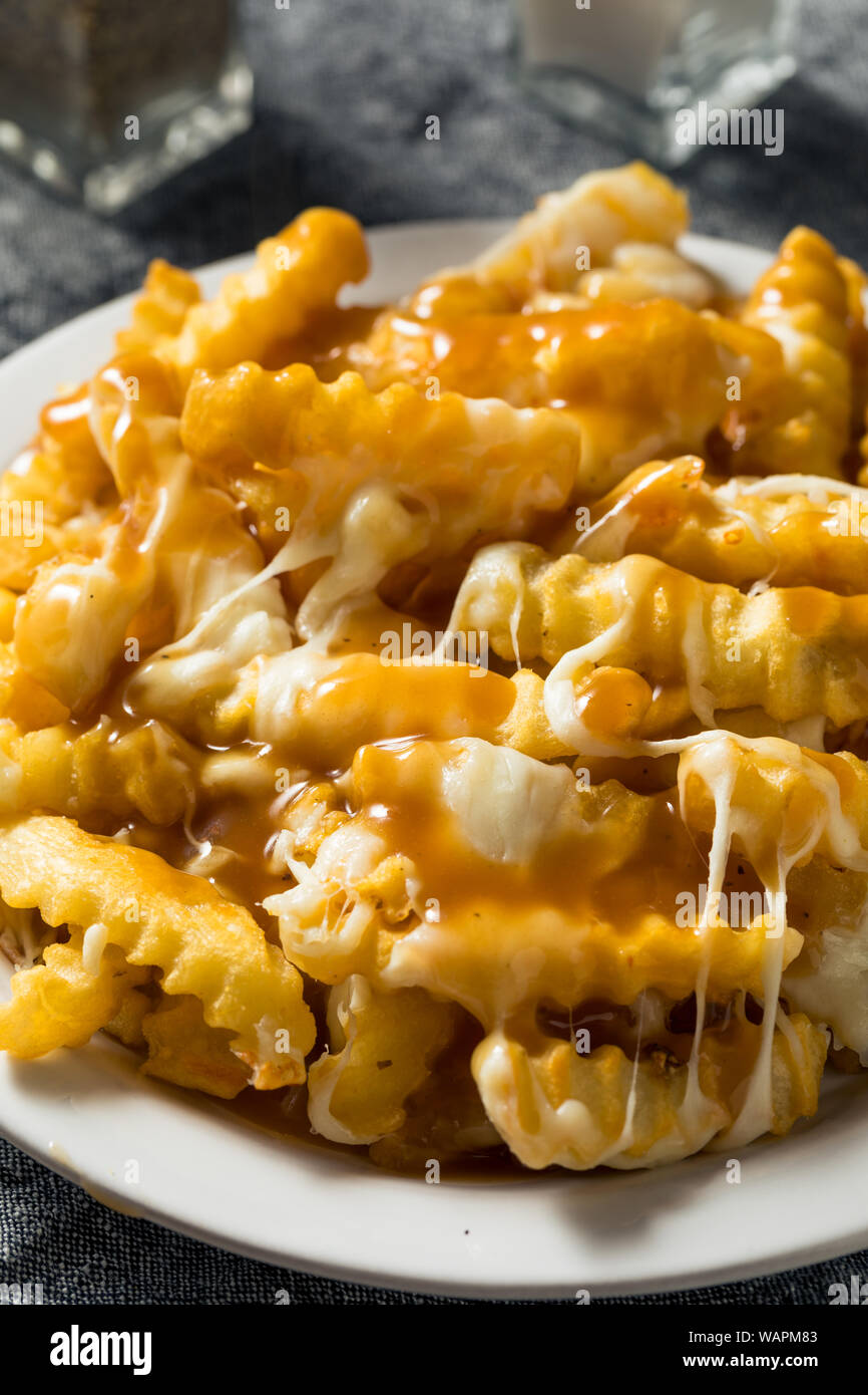 Homemade Jersey Disco French Fries with Gravy and Mozzarella Stock Photo Alamy
