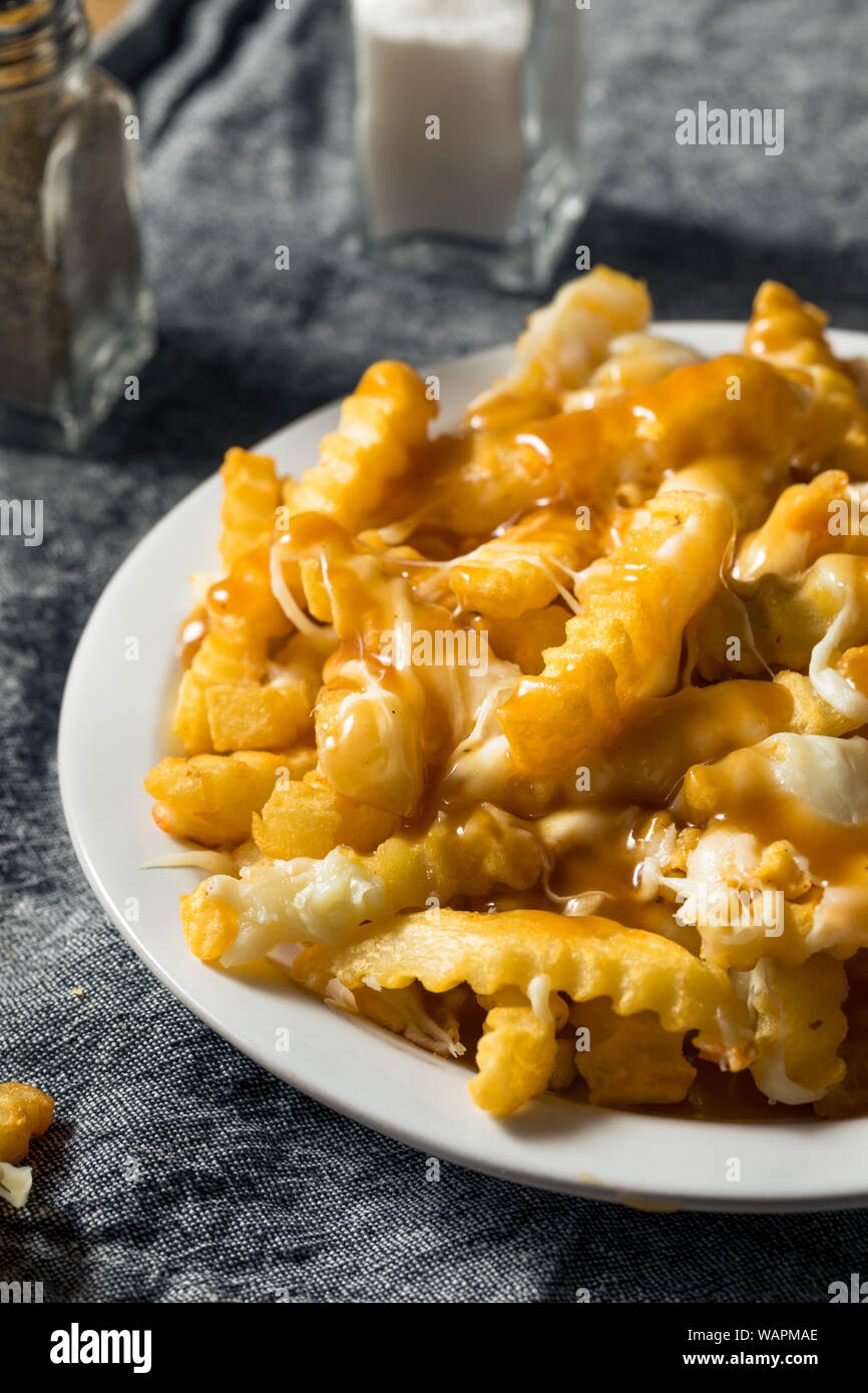 Homemade Jersey Disco French Fries with Gravy and Mozzarella Stock Photo Alamy