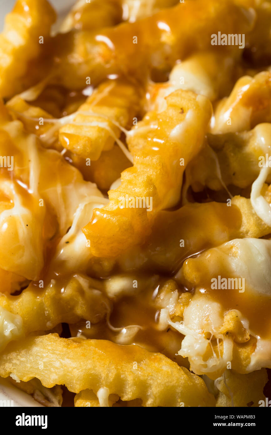 Homemade Jersey Disco French Fries with Gravy and Mozzarella Stock Photo Alamy