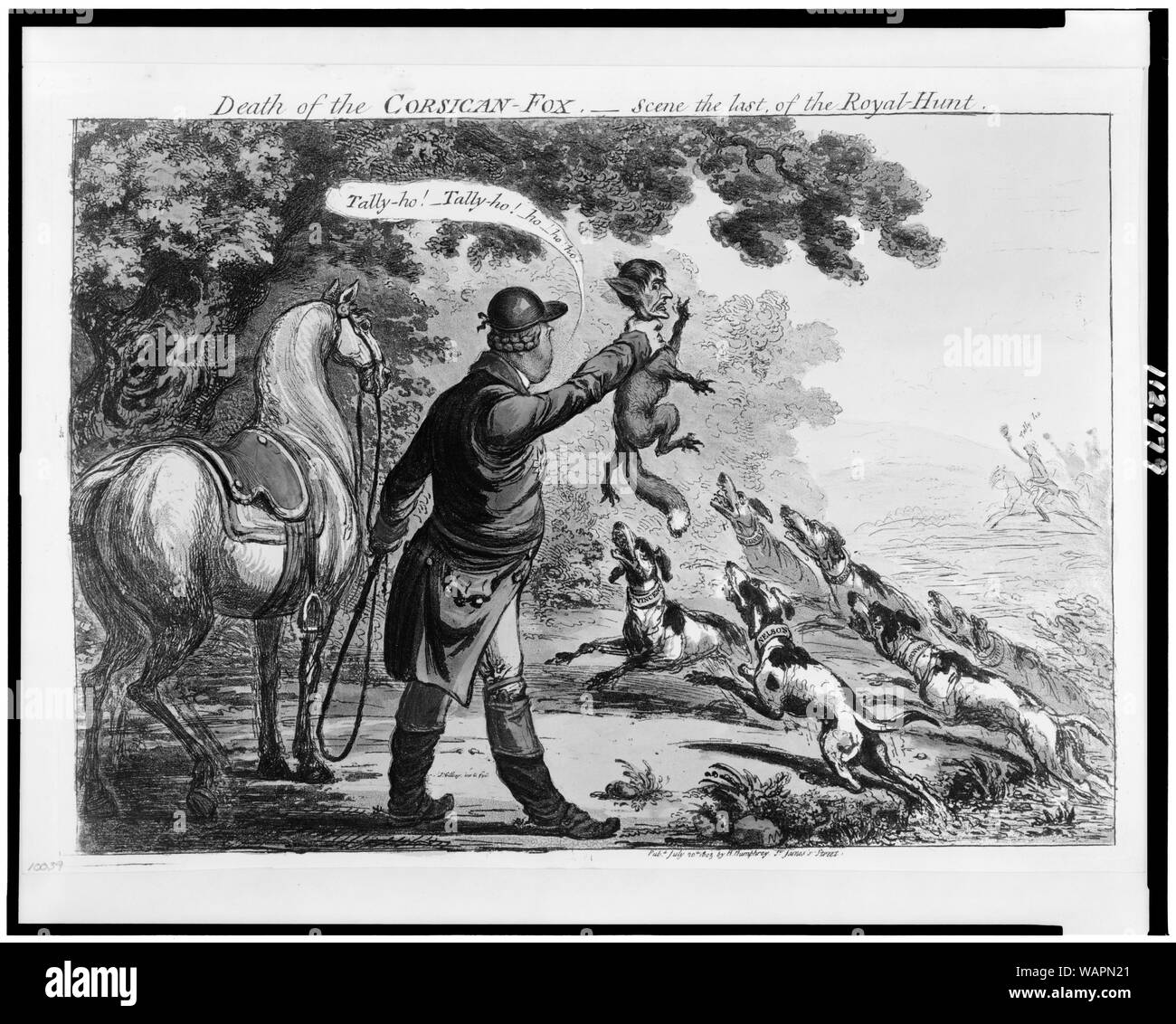 Death of the Corsican fox--Scene the last of the Royal-Hunt Abstract: King George III as a huntsman, holds up to a pack of hounds a fox with the head of Napoleon. Hounds' collars inscribed with names of naval leaders Nelson, Sydney S. Gardner, Cornwallis. Men on horseback led by William Pitt, gallop towards king. Stock Photo