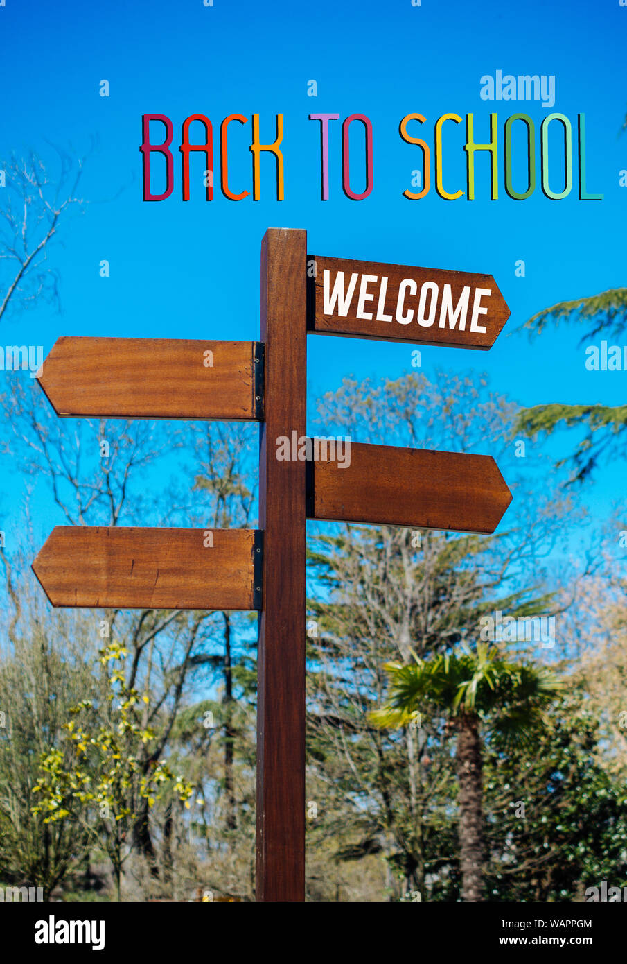 Back to school wording as education, teaching and learning concept Stock Photo