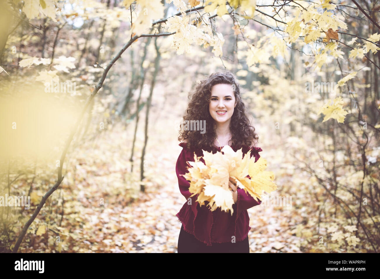 Beautiful girl with curly dark hair in a maroon top in an autumn park holding maple leaves and smiling at the camera Stock Photo
