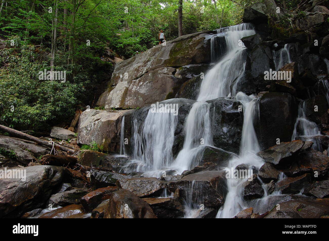 Laurel water hires stock photography and images Alamy