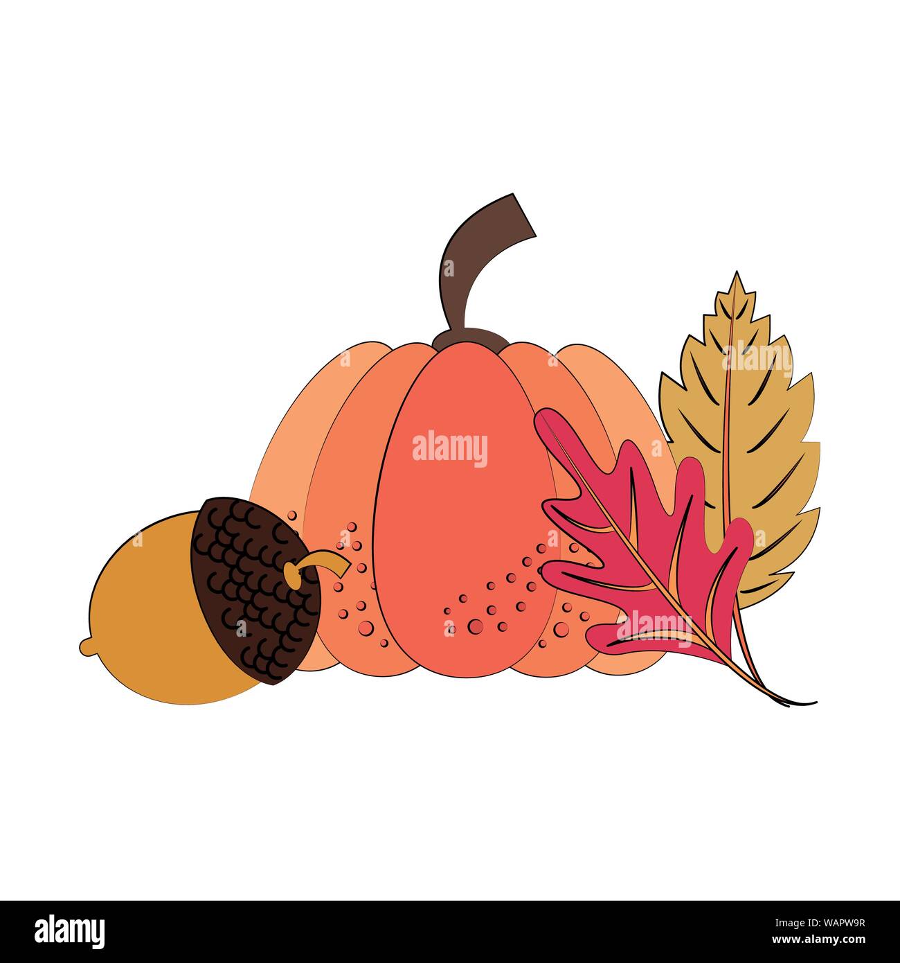 Autumn season cute elements cartoons Stock Vector Image & Art - Alamy