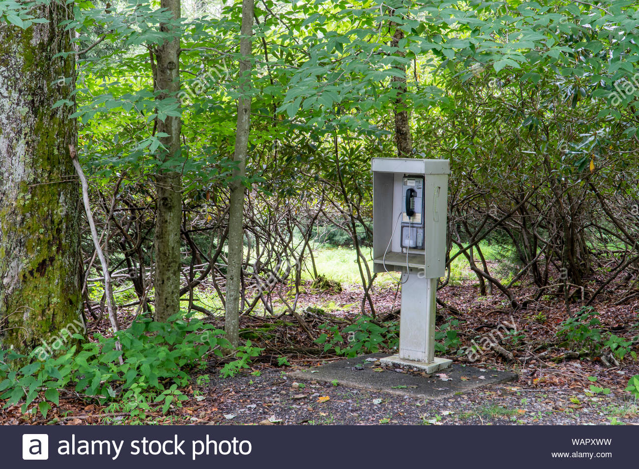 A Pay Phone In The Cabin Area At Blackwater Falls State Park Near