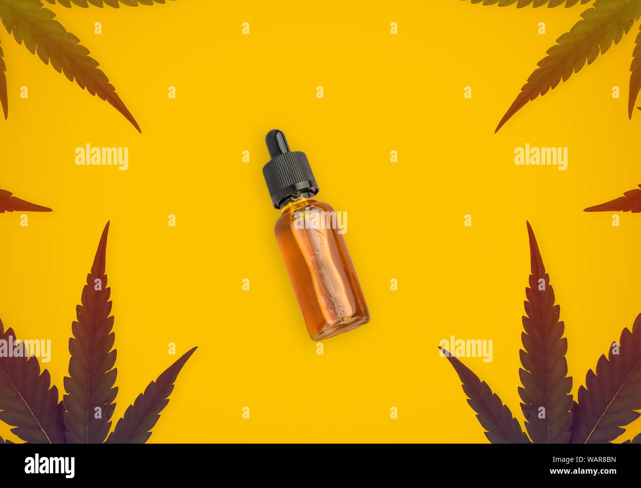 Toned cannabis sativa leafs forming a frame and Cannabis CBD oil bottle Isolated on orange background Stock Photo