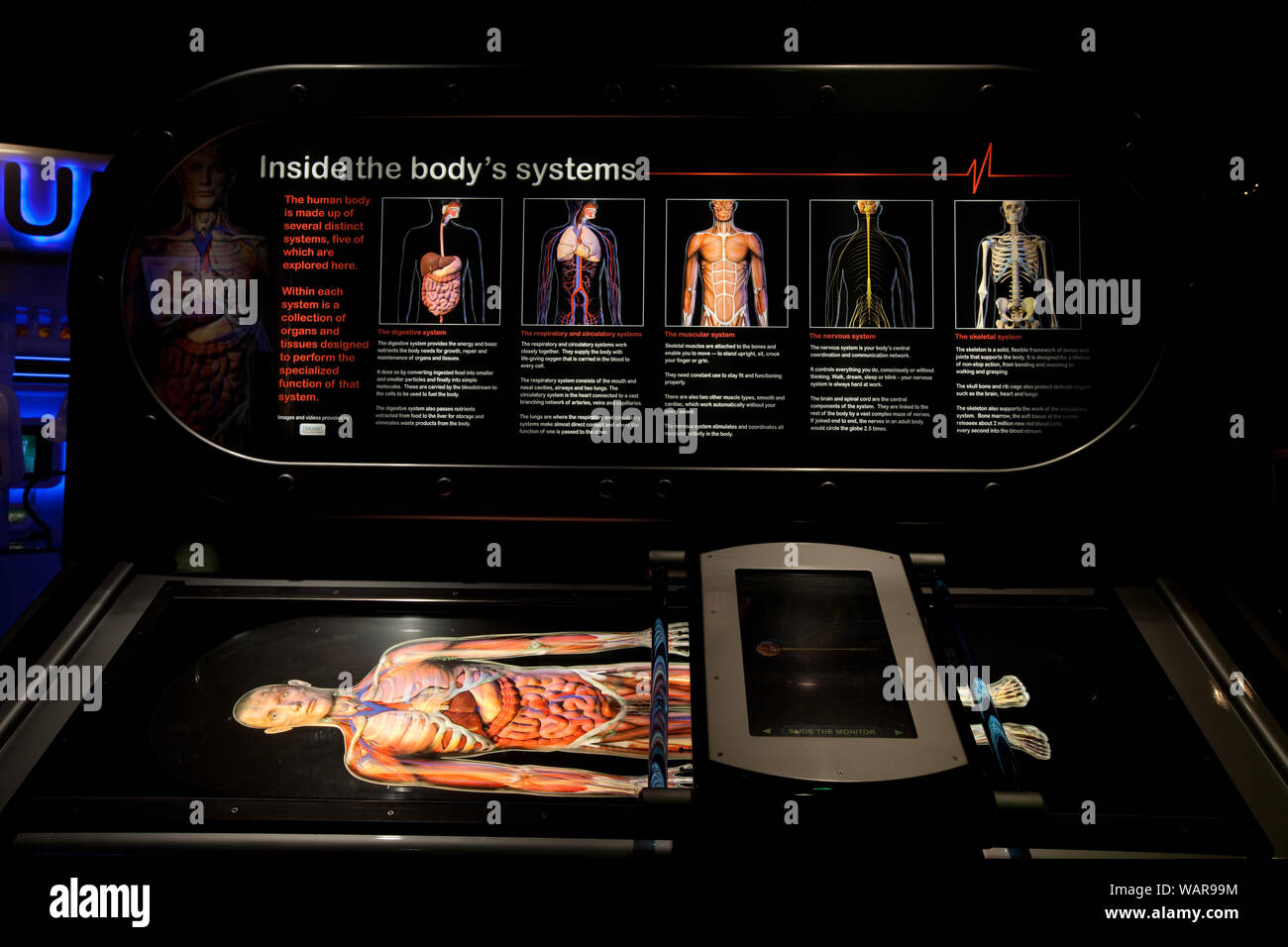 Bodyworks High Resolution Stock Photography And Images Alamy